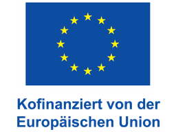 European Union Logo